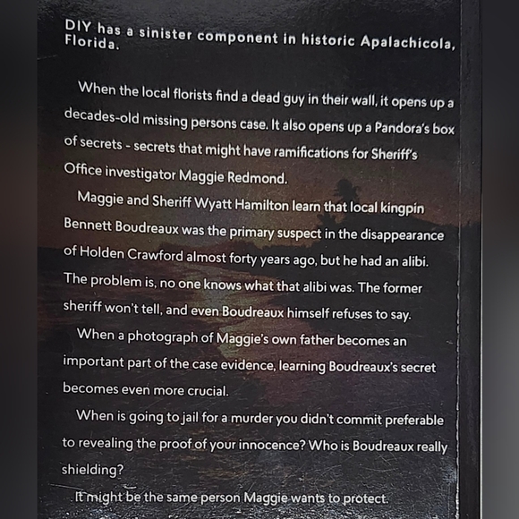 The Forgotten Coast Series (10 books) by Dawn Lee McKenna - Suspense - Picture 12 of 16